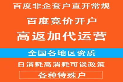 百度推广运营实战技巧：案例教学与实战